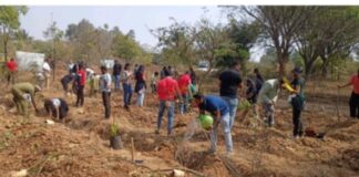 Rotary Bangalore Midtown and Nucleus Office Parks Collaborate to Green Bangalore University Campus