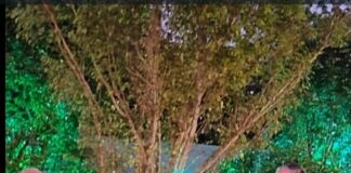 SecurEyes and Sri Sri University Sign Historic MOU to Promote Cyber Security Education in India