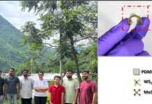 IIT Mandi Researchers Develop Flexible Durable 2D Material Fabrication techniquefor Next-Generation Tech