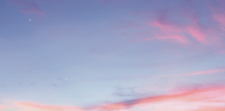 Marwadi University Records Outstanding Placement Success with 65 Offers in Just Two Days