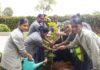 Bhartiya Urban Marks World Environment Day with Dual Recognition from India Book of Records and Asia Book of Records
