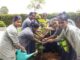 Bhartiya Urban Marks World Environment Day with Dual Recognition from India Book of Records and Asia Book of Records