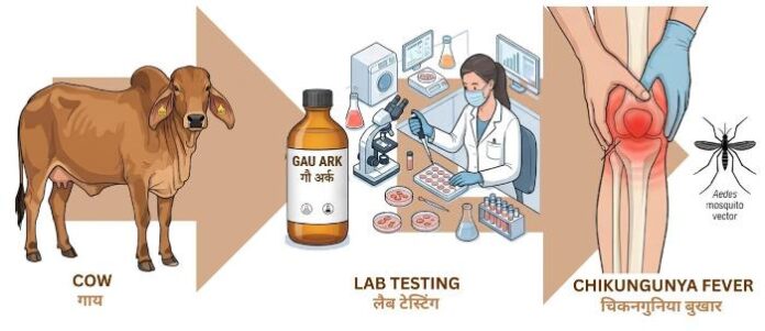 Image - IIT Roorkee Scientists Identify Potential Antiviral Compounds Against Chikungunya Virus